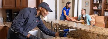 Best Residential Pest Control  in Lucerne, CA