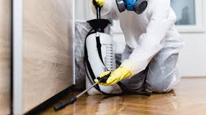 Professional Pest control in Lucerne, CA